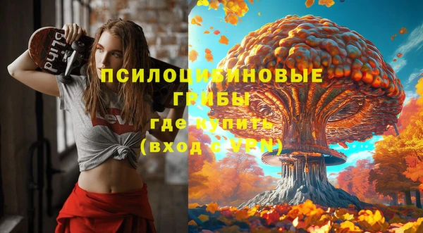 хмурый Балахна